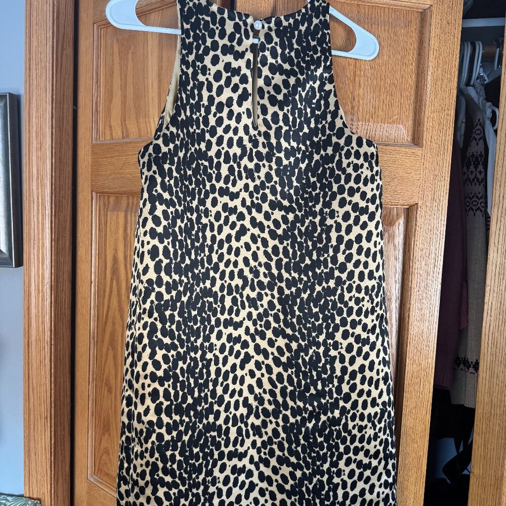 Leopard A line sexy mini. Flatteing and forgiving hang on body.